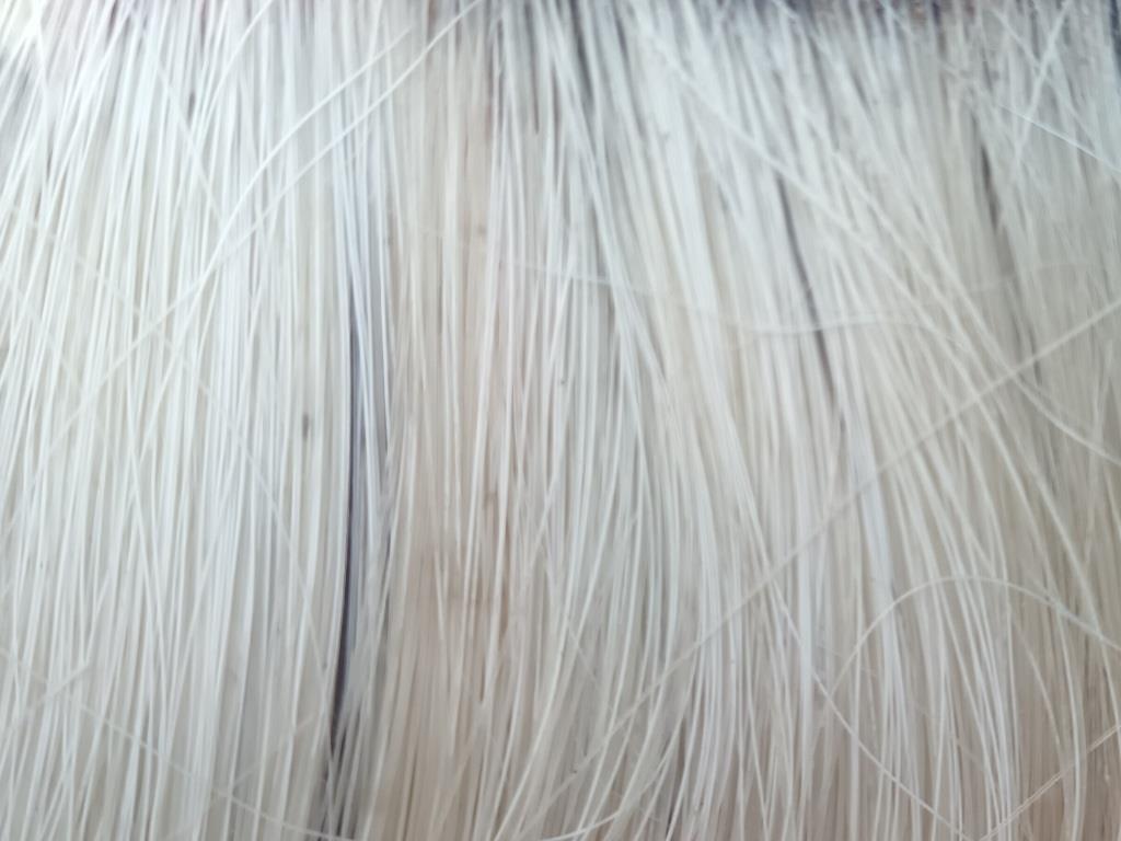 blonde horse hair